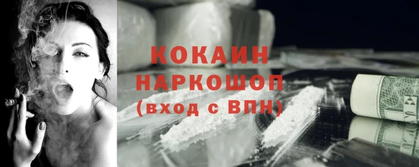 индика Абаза