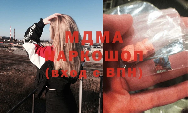 индика Абаза