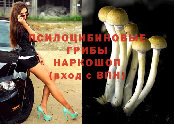 индика Абаза