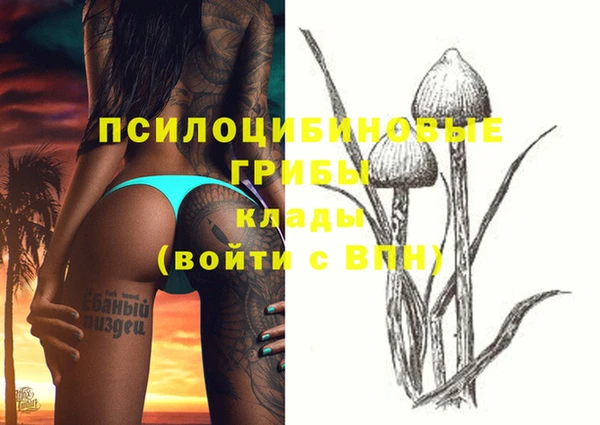 амф Абинск