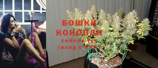 дмт Арсеньев