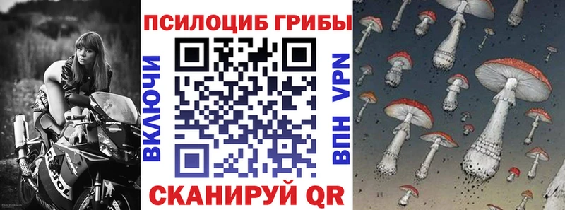 Псилоцибиновые грибы прущие грибы Астрахань